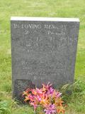 image of grave number 300462